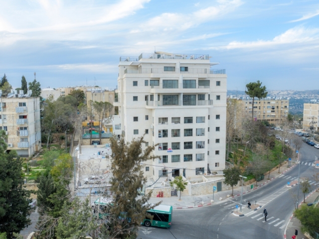 TAMA 38 project in Jerusalem – Construction works -  Dehomey 2